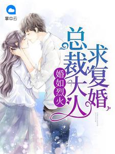 婚宠无度总裁大人是妻奴