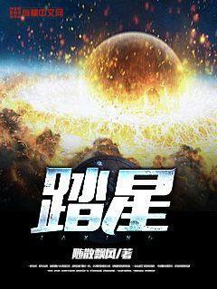 踏星评价