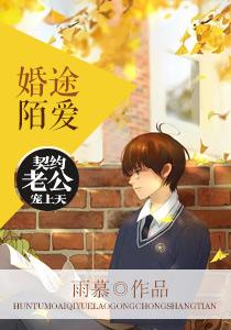 婚途陌离全文免费阅读