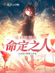 哈利波特之明智之选
