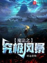 究极风暴章节