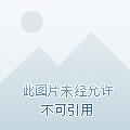 无限装殖笔趣