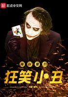 海贼王打小丑是第几集
