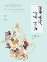 知我如你情深不负讲什么