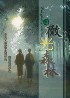微光咋玩
