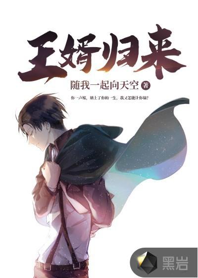 王婿免费