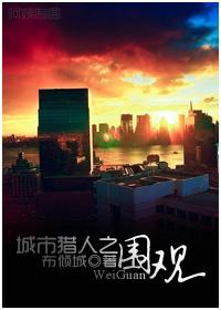 城市猎人剧情