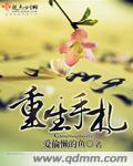 重生手札(完结)