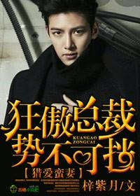 猎爱蛮妻狂傲总裁势不可挡