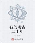 我的考古二十年 张严肃