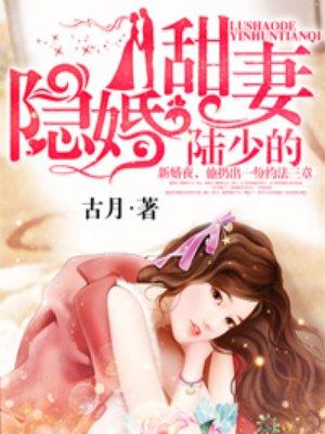 陆少的隐婚新娘