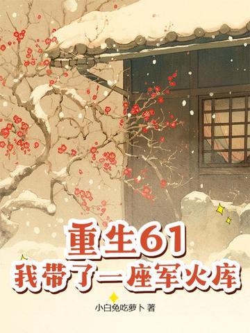 我带了一座军火库完整阅读