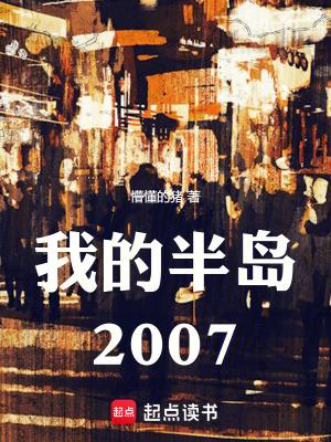 我的半岛2007无防盗
