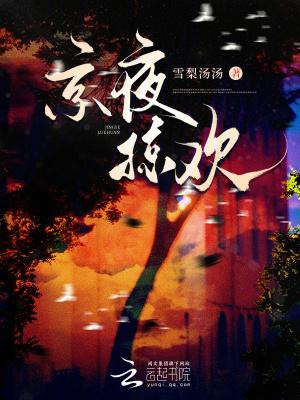 京夜掠欢笔趣阁