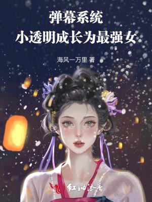 弹幕软件