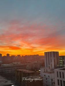 女帝背后的男子