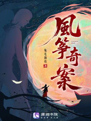 风筝奇缘是什么意思