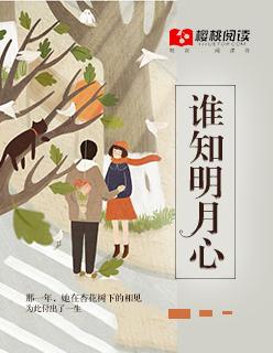 明月有谁能知道