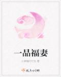 一品夫人有哪些