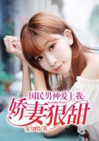 国民男神爱上我番外