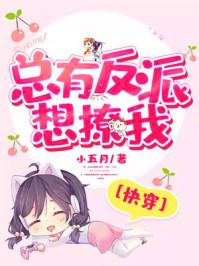 总有反派想要攻略我快穿 柒月上 无防盗章