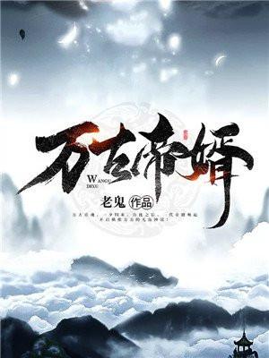万古帝婿几个女主