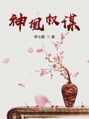 神凰争渡