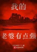 我的老婆有点强男主叫清风