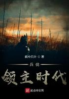 领主之兵伐天下2