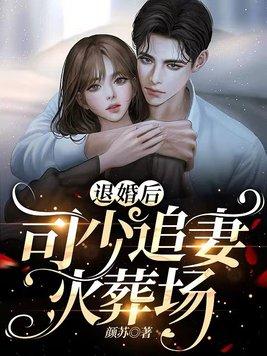 欧颜司夜辰免费阅读最新