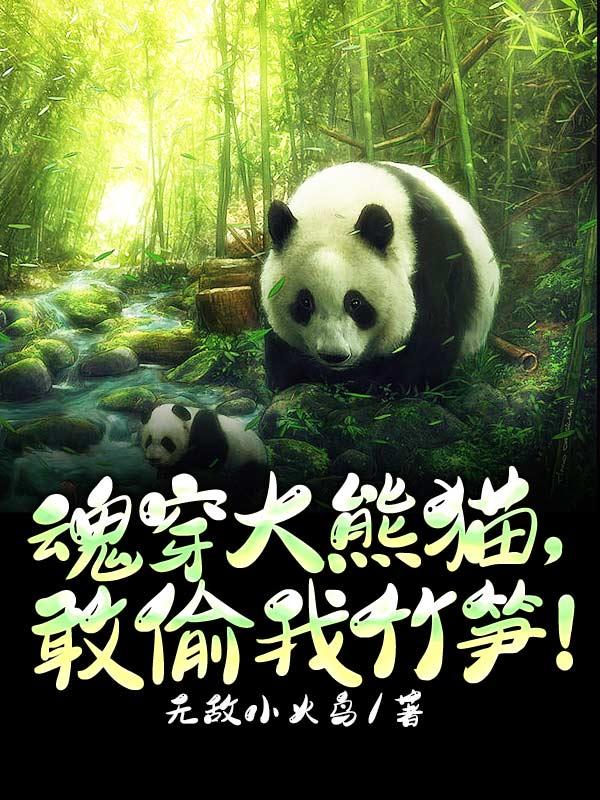 穿越大熊猫的