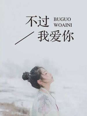 不过是我爱你