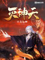 偷香高手完整版
