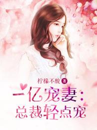 高维文明养成手册笔趣阁