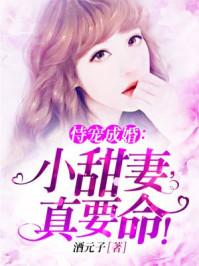 高维文明养成手册电子版