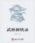 海贼谍影百度百科