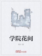 绝世飞刀免费阅读