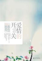 杨家将简介