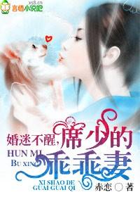婚迷不醒,席少的乖乖妻 婚迷不醒,席少的乖乖妻